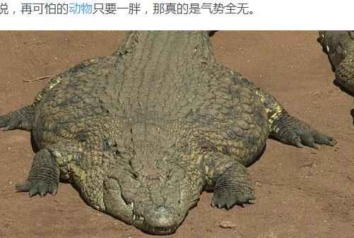 360截图20170327095551062.jpg