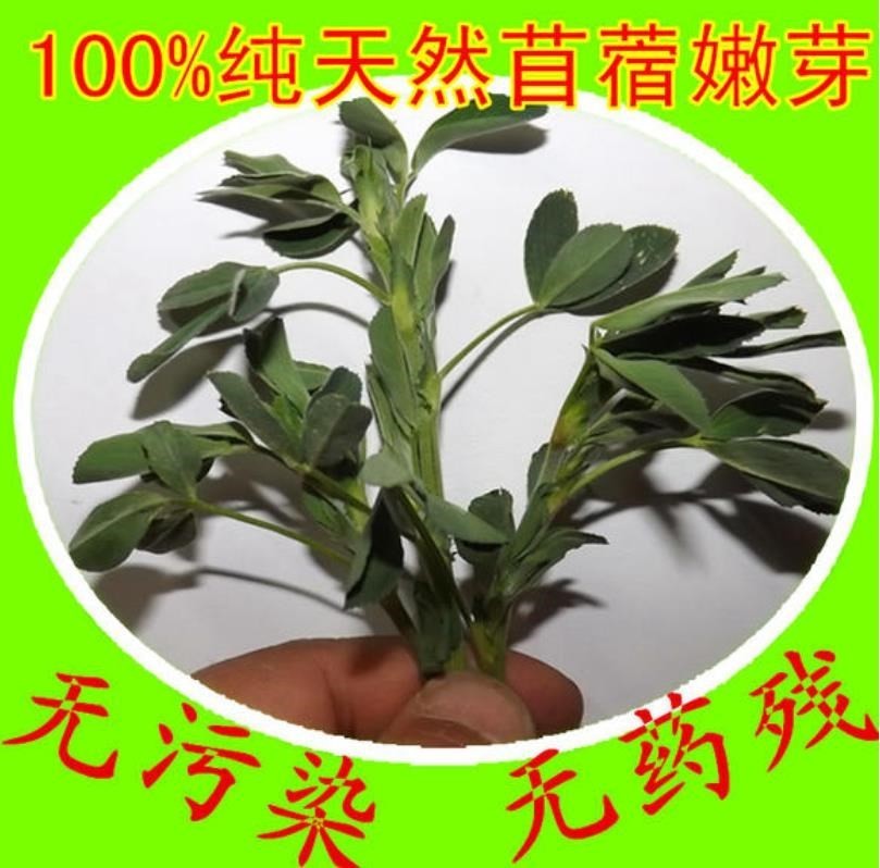 360截图20200324215508498.jpg