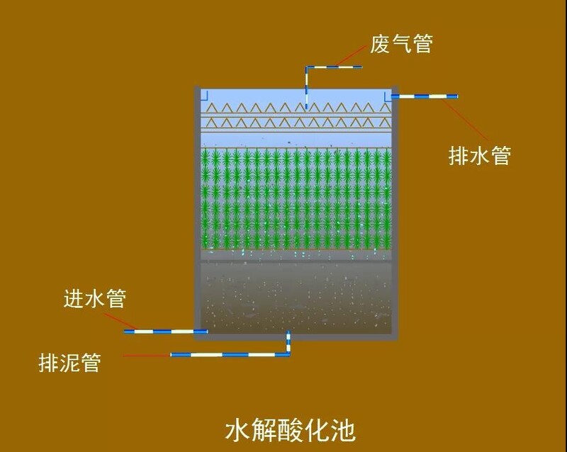 水解酸化池.jpg